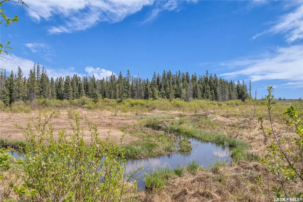 Rural Address Canwood Rm No. 494 SK S0J 1X0