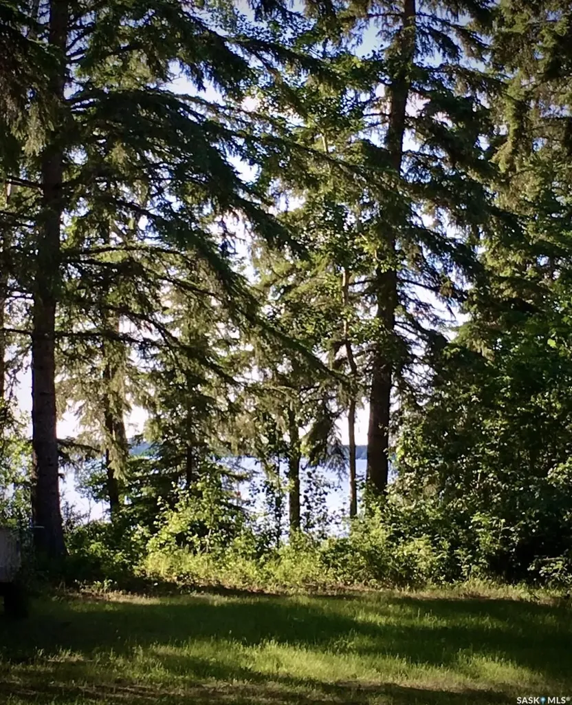 1300 Birch Drive Turtle Lake SK S0M 1J0