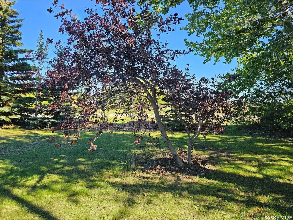 Rural Address Grass Lake Rm No. 381 SK S0K 4L0