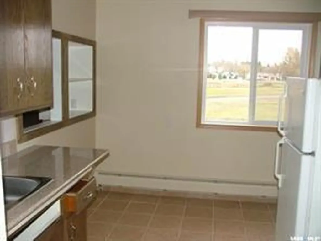 245 3rd Street NE Wadena SK S0A 4J0
