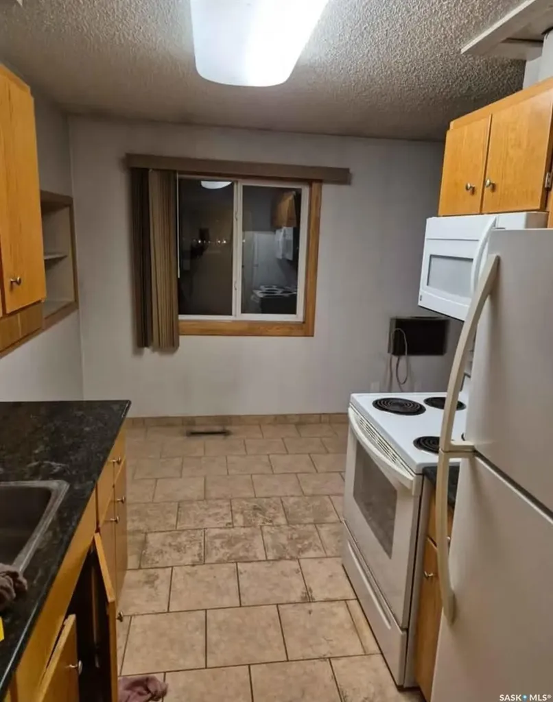 89 Horkoff Avenue Wadena SK S0A 4J0