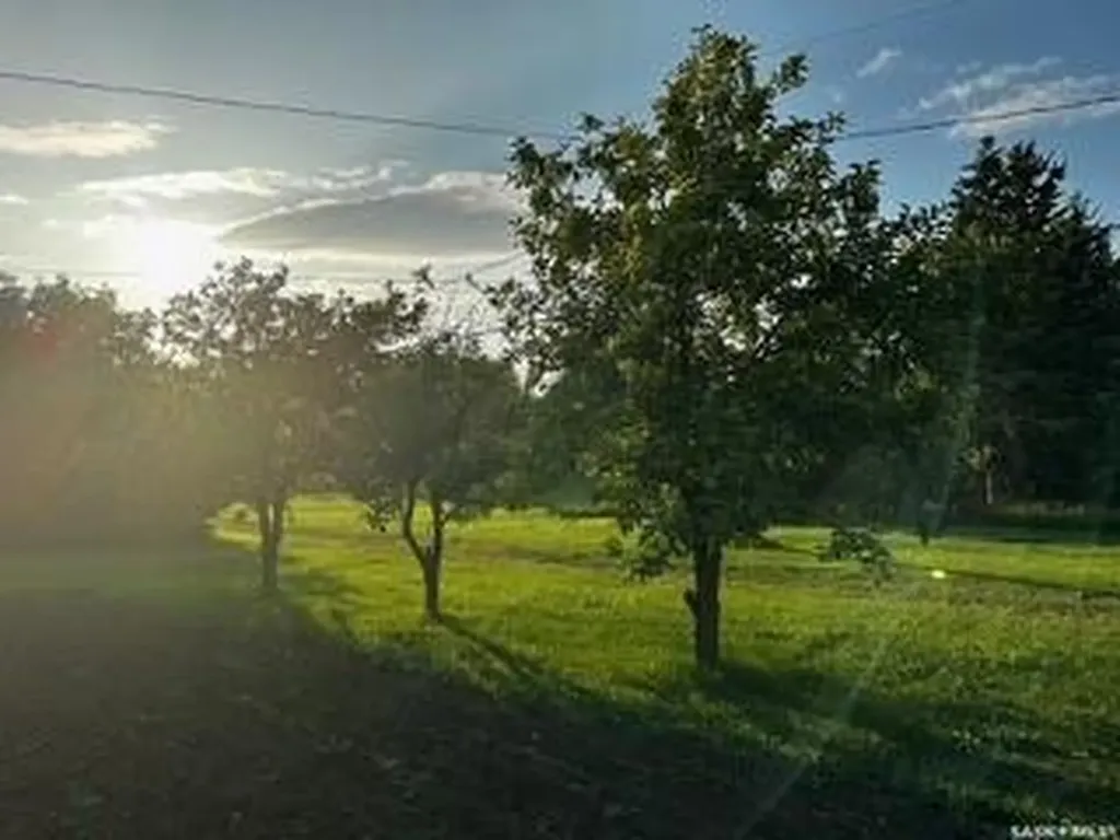 110 South Avenue E Hafford SK S0J 1A0