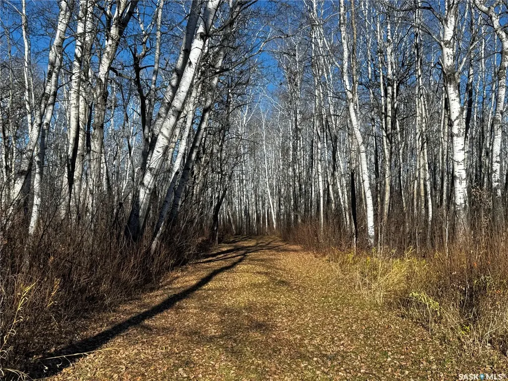 . Rural Address Hazel Dell Rm No. 335 SK S0A 1G0