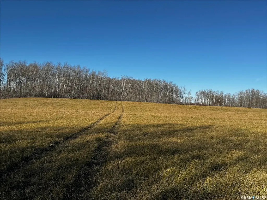 . Rural Address Hazel Dell Rm No. 335 SK S0A 1G0