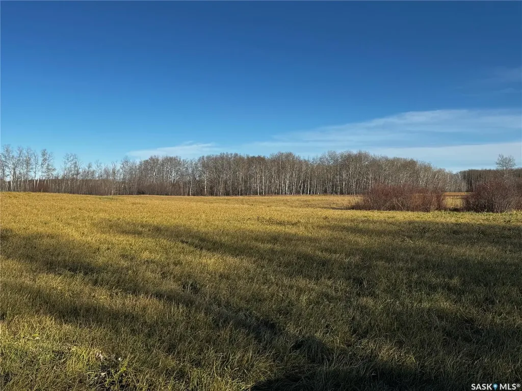 . Rural Address Hazel Dell Rm No. 335 SK S0A 1G0