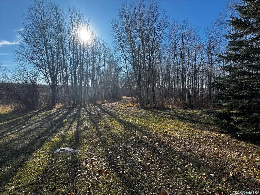 . Rural Address Hazel Dell Rm No. 335 SK S0A 1G0