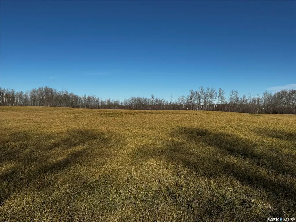 . Rural Address Hazel Dell Rm No. 335 SK S0A 1G0