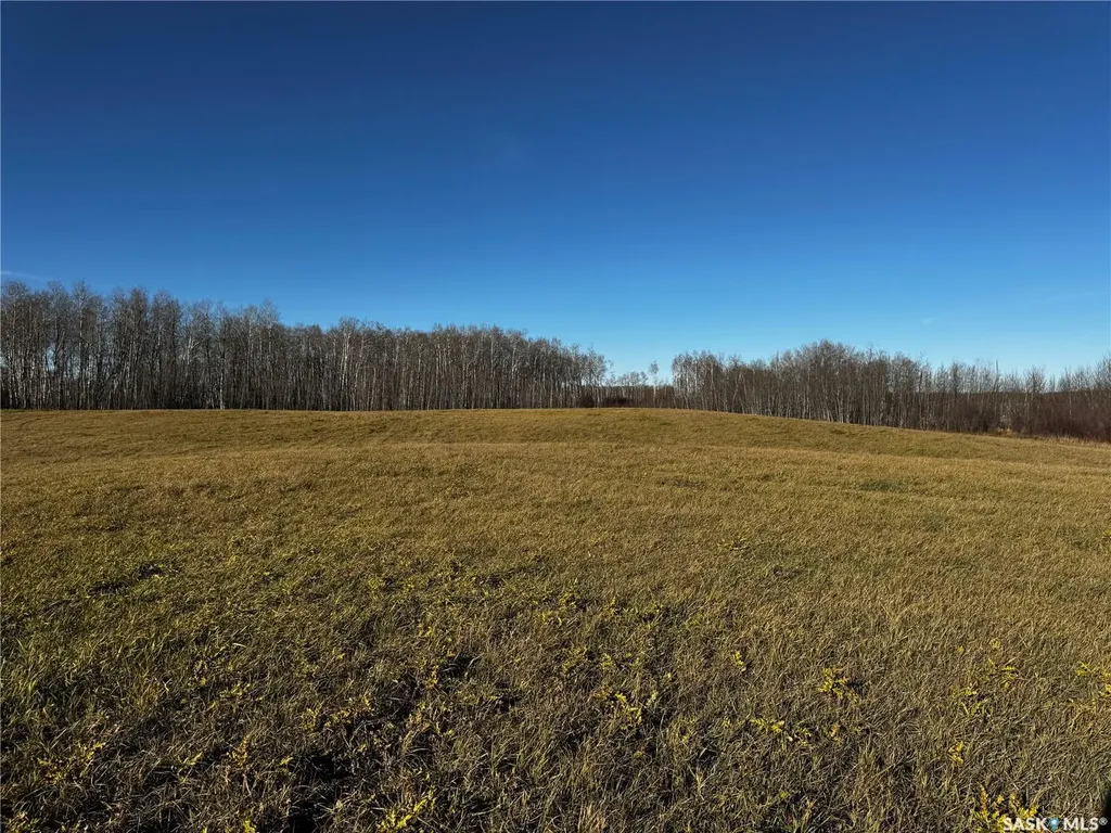 . Rural Address Hazel Dell Rm No. 335 SK S0A 1G0