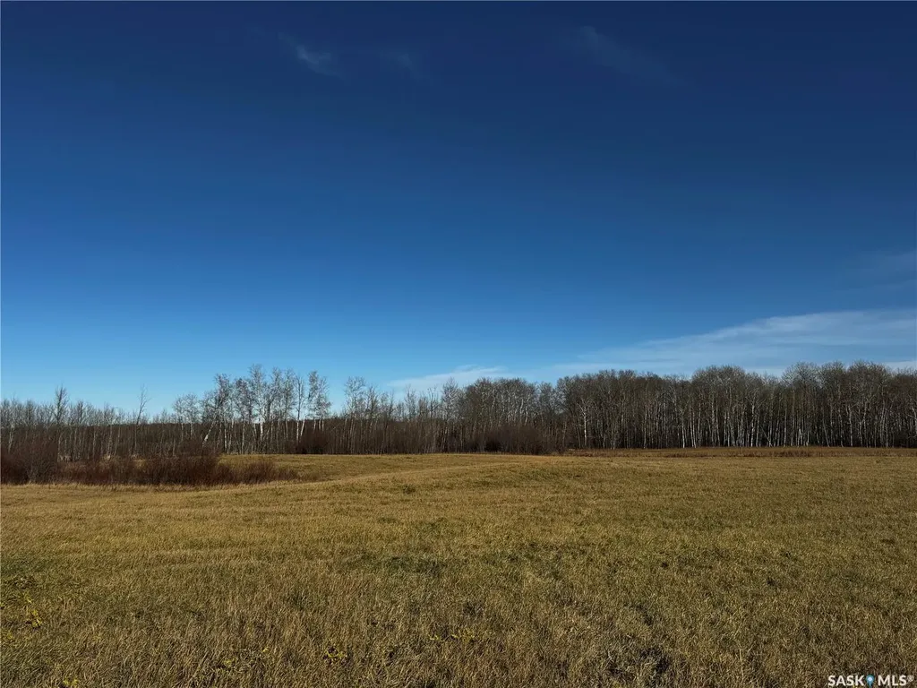 . Rural Address Hazel Dell Rm No. 335 SK S0A 1G0