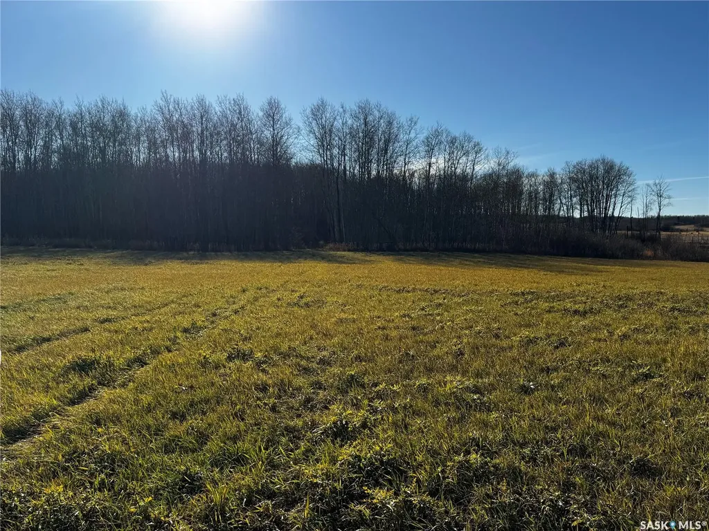 . Rural Address Hazel Dell Rm No. 335 SK S0A 1G0