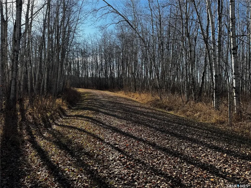 . Rural Address Hazel Dell Rm No. 335 SK S0A 1G0