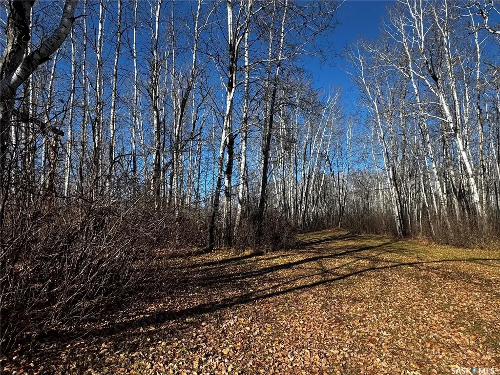 . Rural Address Hazel Dell Rm No. 335 SK S0A 1G0