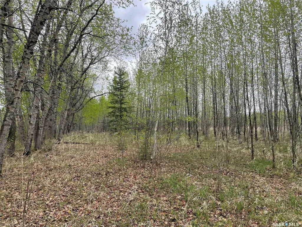 Rural Address Meadow Lake Rm No.588 SK S0M 0T0