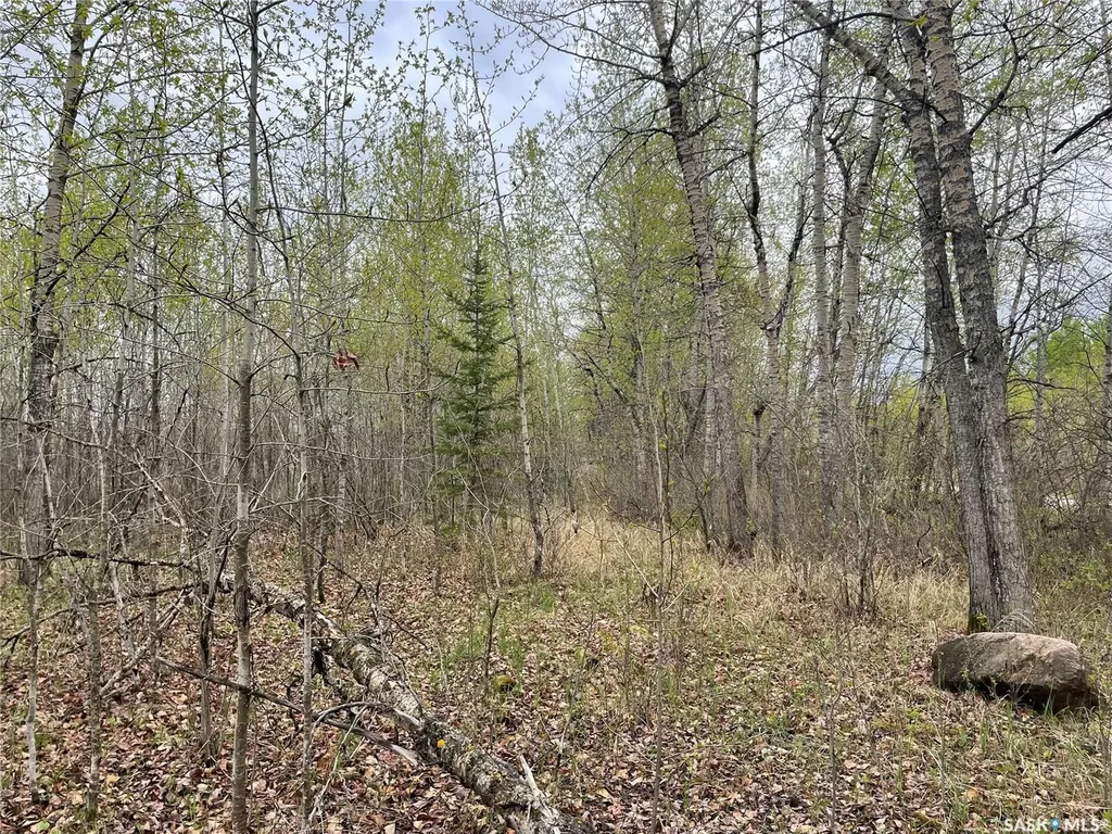 Rural Address Meadow Lake Rm No.588 SK S0M 0T0