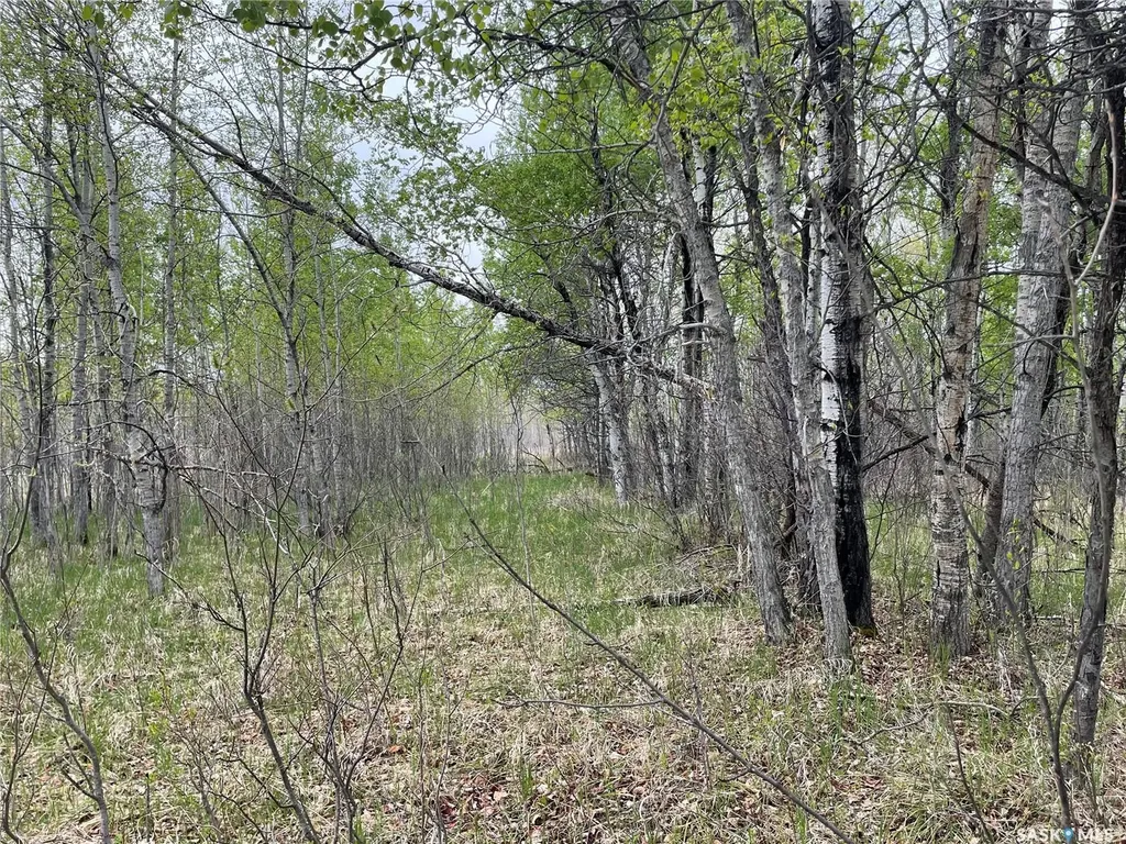 Rural Address Meadow Lake Rm No.588 SK S0M 0T0