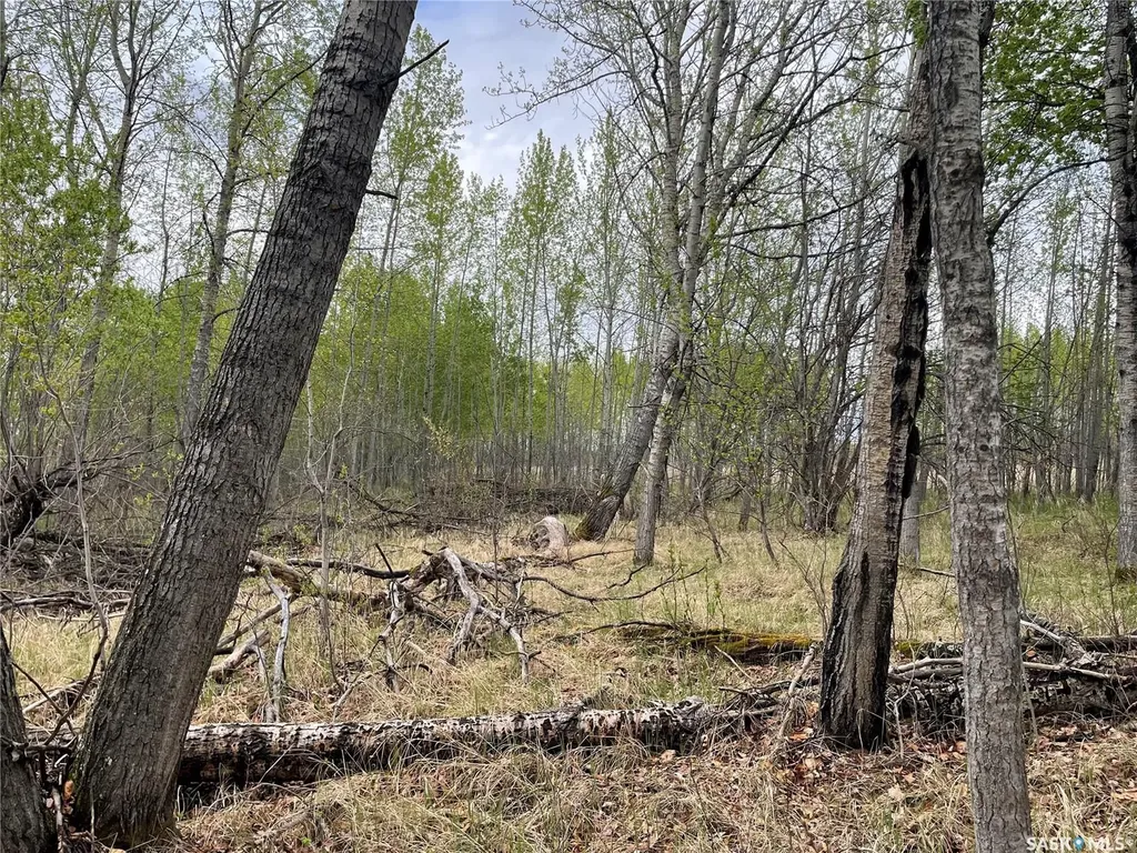 Rural Address Meadow Lake Rm No.588 SK S0M 0T0