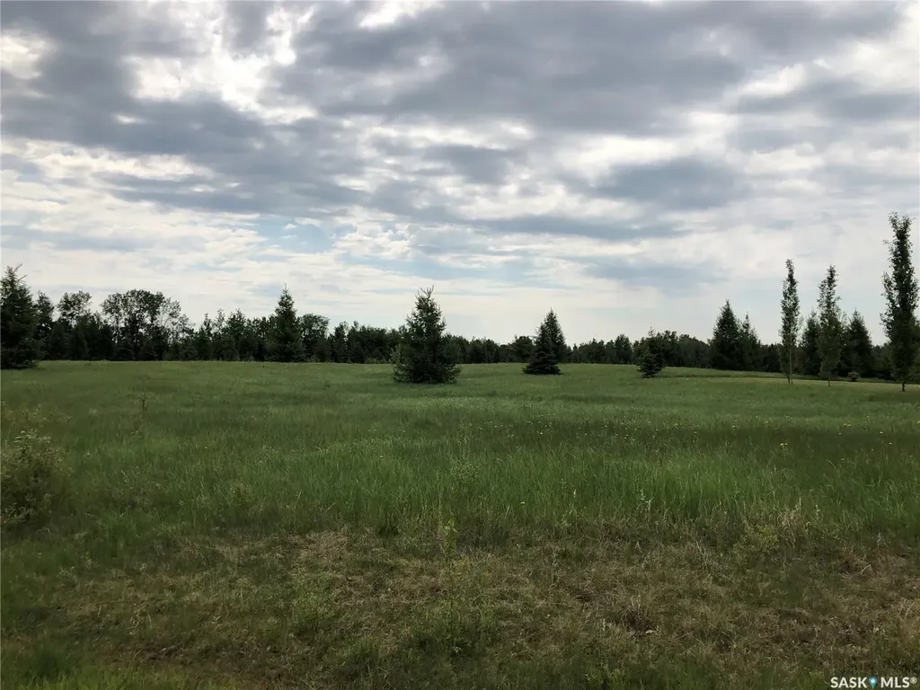 1 Northern Meadows Crescent Goodsoil SK S0M 1A0