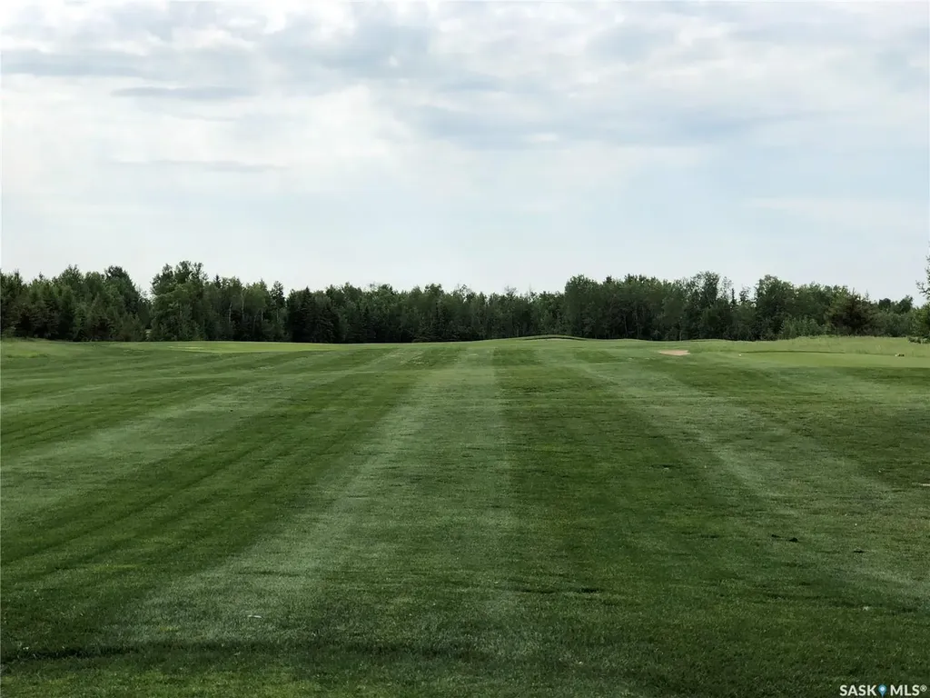 1 Northern Meadows Crescent Goodsoil SK S0M 1A0