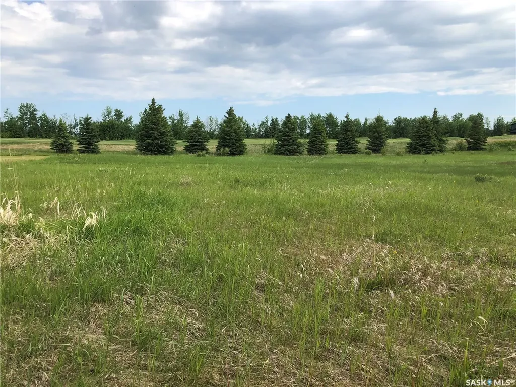 19 Northern Meadows Way Goodsoil SK S0M 1A0