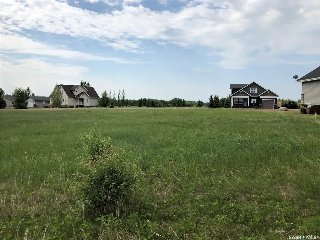 19 Northern Meadows Way Goodsoil SK S0M 1A0