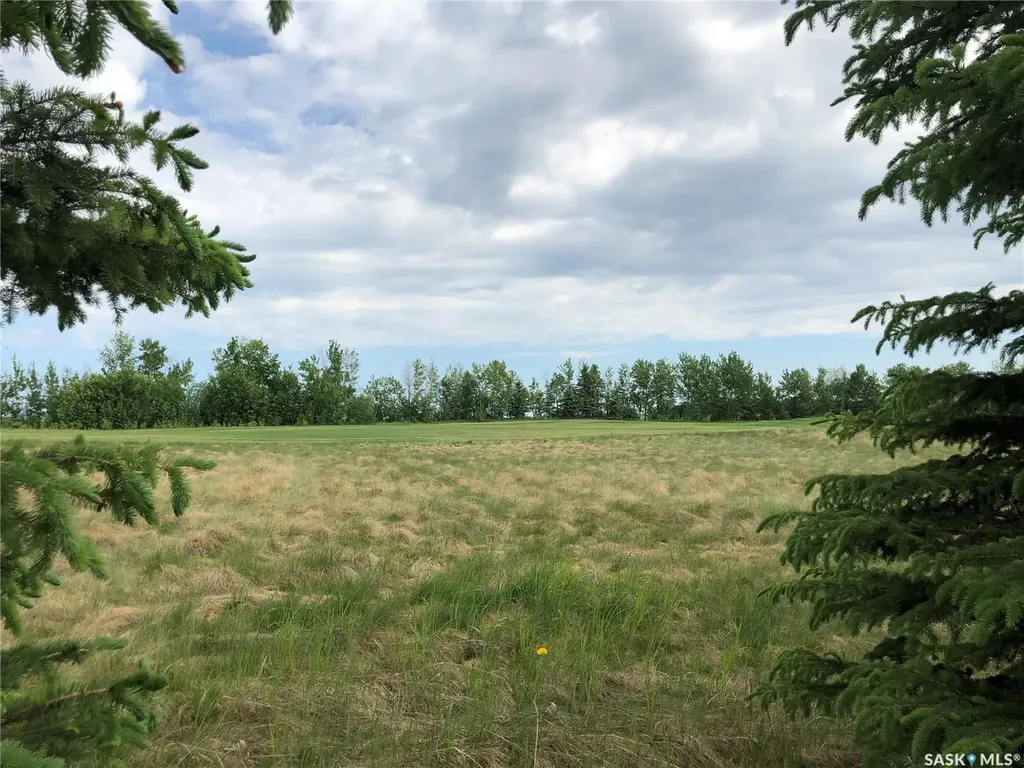 19 Northern Meadows Way Goodsoil SK S0M 1A0