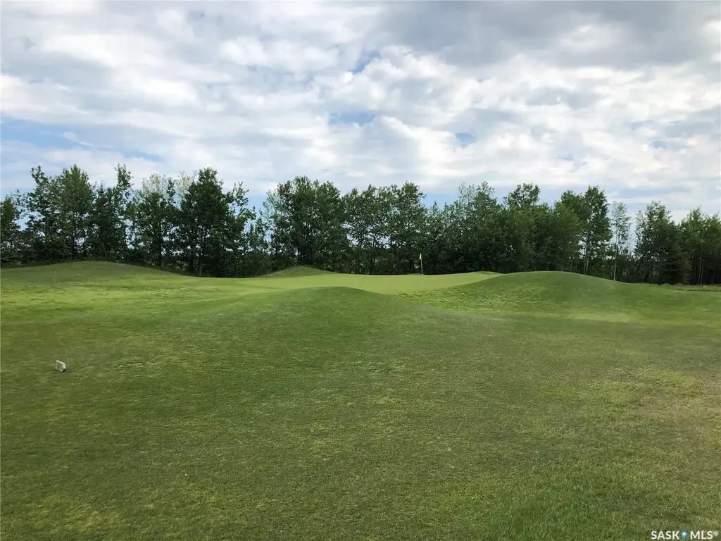 19 Northern Meadows Way Goodsoil SK S0M 1A0