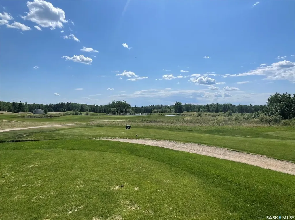 4 Northern Meadows Way Goodsoil SK S0M 1A0