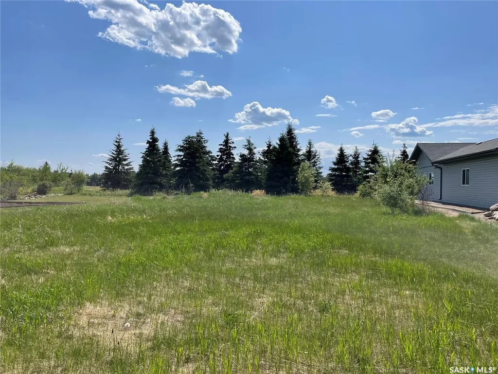 4 Northern Meadows Way Goodsoil SK S0M 1A0