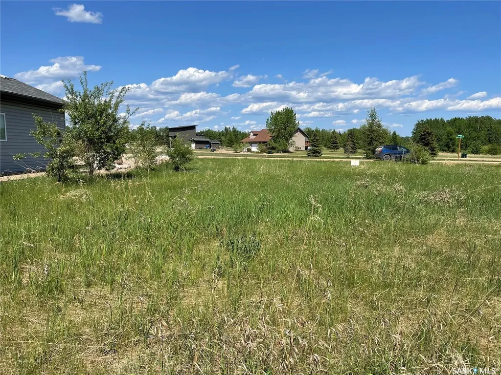 4 Northern Meadows Way Goodsoil SK S0M 1A0