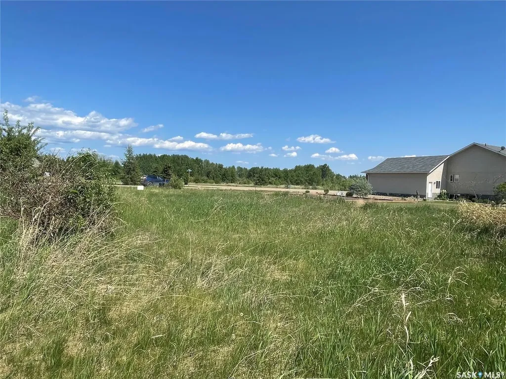 4 Northern Meadows Way Goodsoil SK S0M 1A0