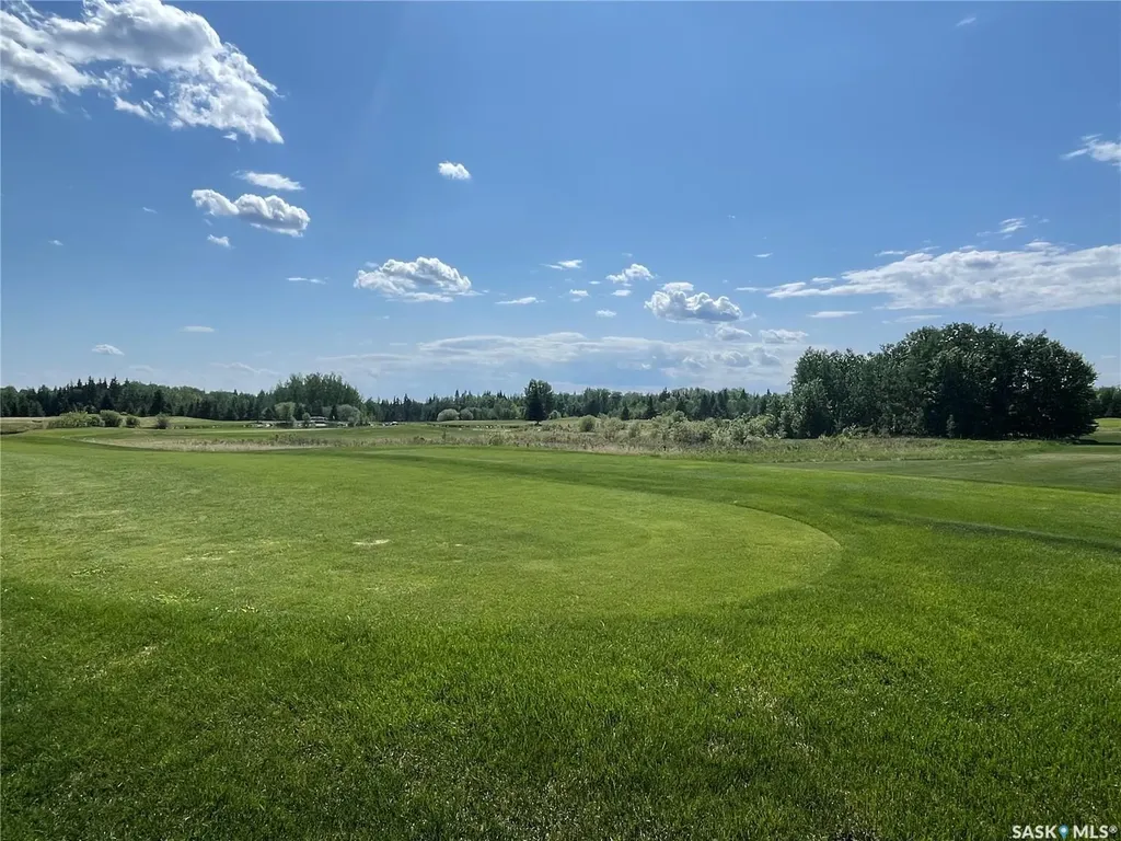 4 Northern Meadows Way Goodsoil SK S0M 1A0
