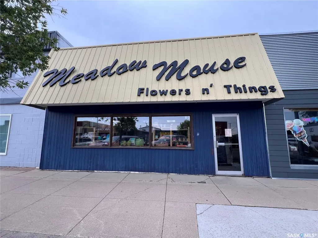 224 Centre Street Meadow Lake SK S9X 1Z7