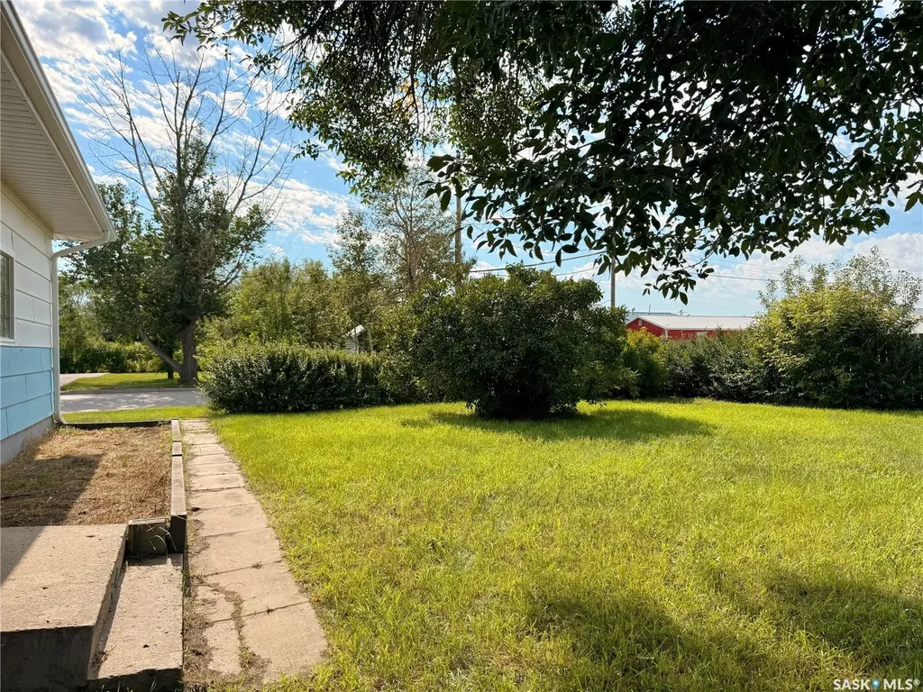 201 Ottawa Street Davidson SK S0G 1A0