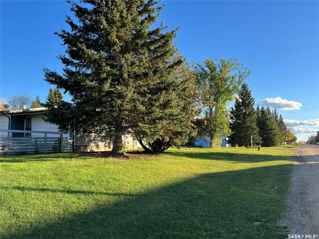 904 Railway Avenue Loon Lake SK S0M 1L0