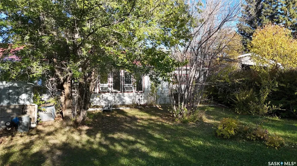 115 1st Street Davidson SK S0G 1A0