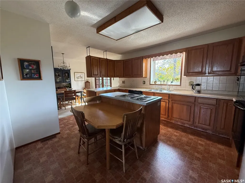 909 Larson Crescent Eston SK S0L 1A0