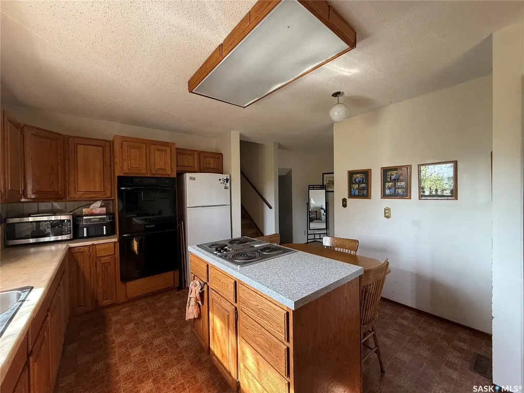 909 Larson Crescent Eston SK S0L 1A0