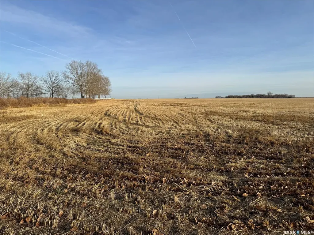 Rural Address Asquith SK S0K 0J0