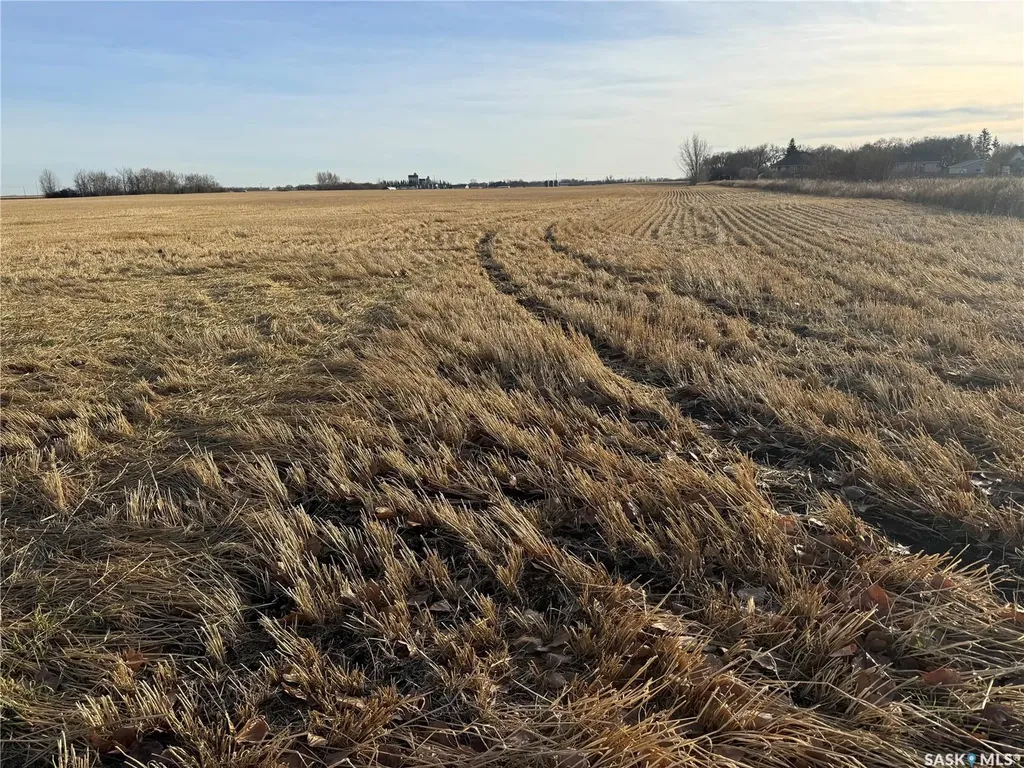 Rural Address Asquith SK S0K 0J0