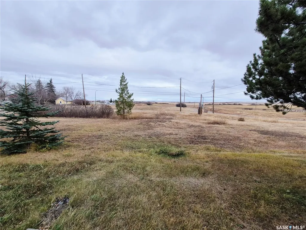 111 Alfred Street Kyle SK S0L 1T0