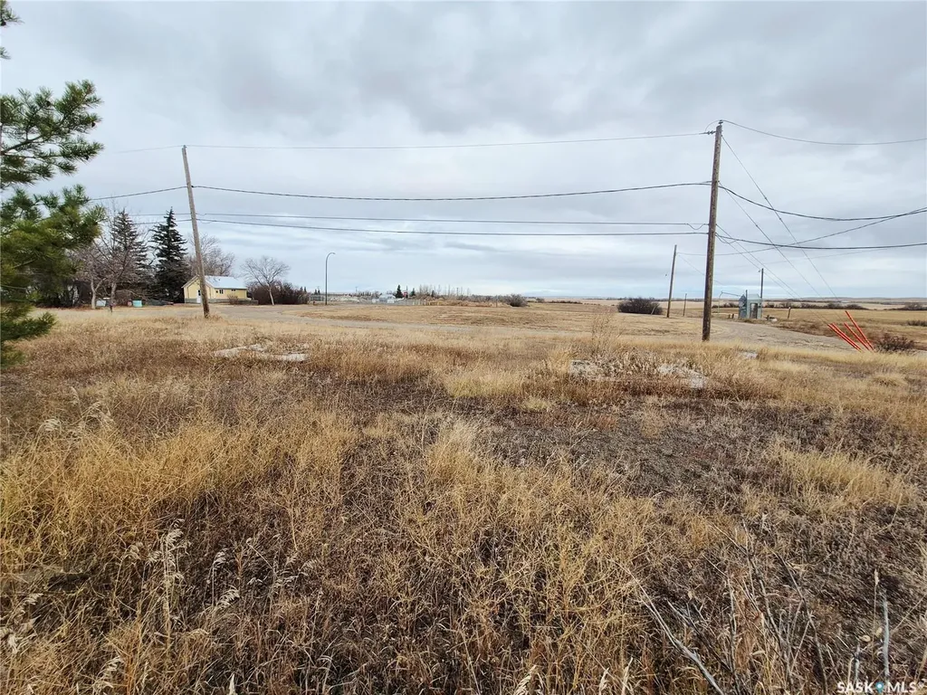 111 Alfred Street Kyle SK S0L 1T0