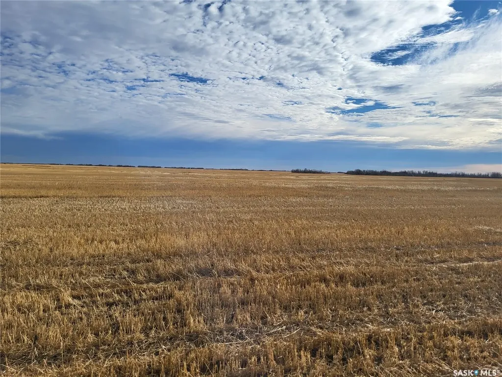 Rural Address Corman Park Rm No. 344 SK S0K 2L0
