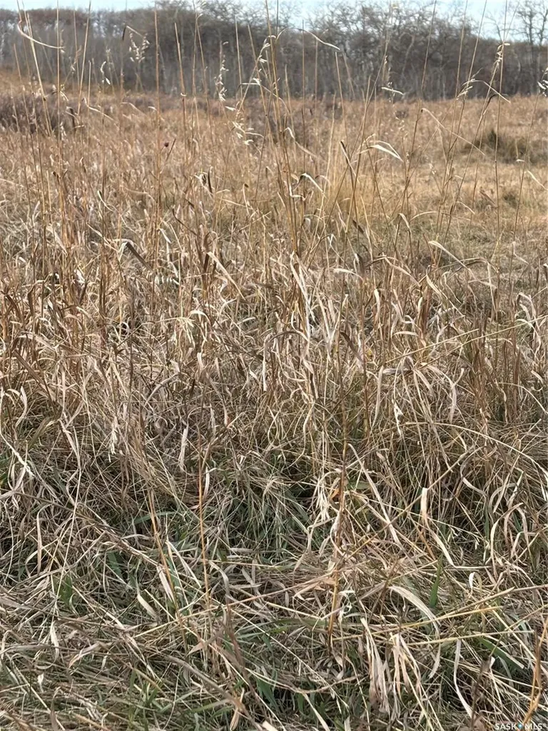 Rural Address Maple Creek Rm No. 111 SK S0N 0T0