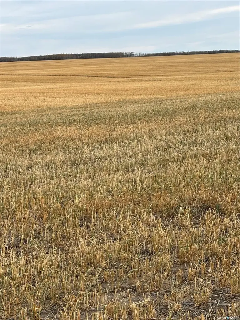 Rural Address Maple Creek Rm No. 111 SK S0N 0T0