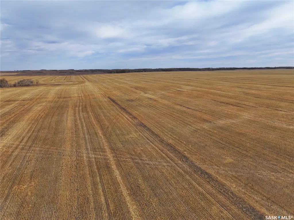 Rural Address Maple Creek Rm No. 111 SK S0N 0T0