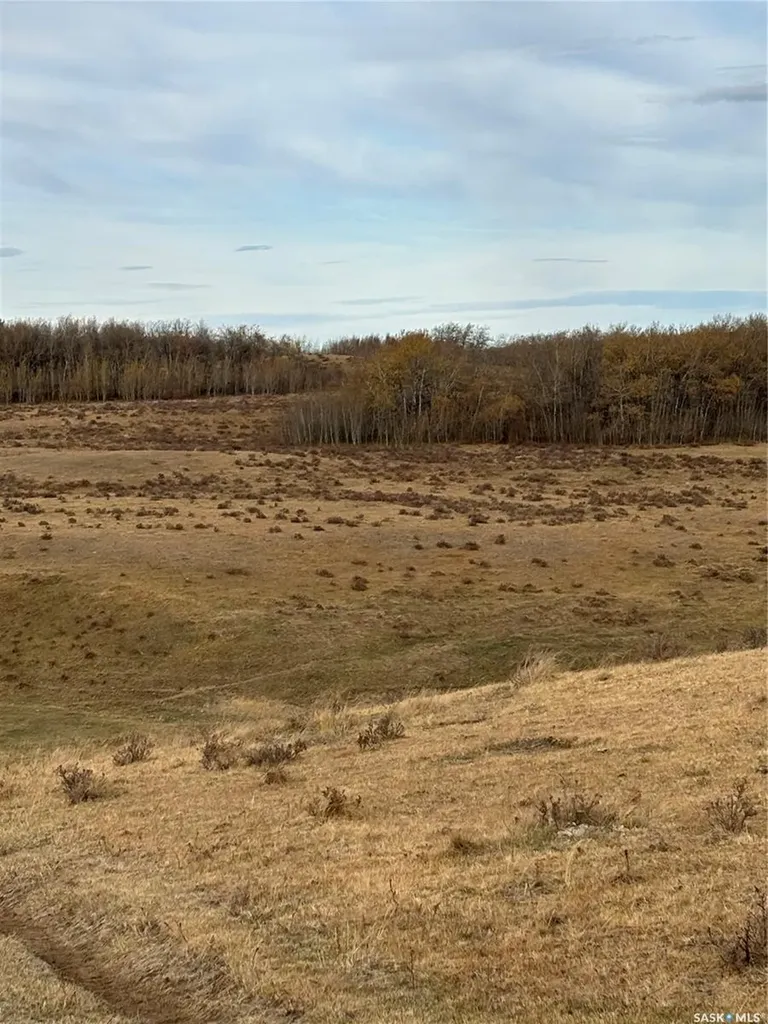 Rural Address Maple Creek Rm No. 111 SK S0N 0T0