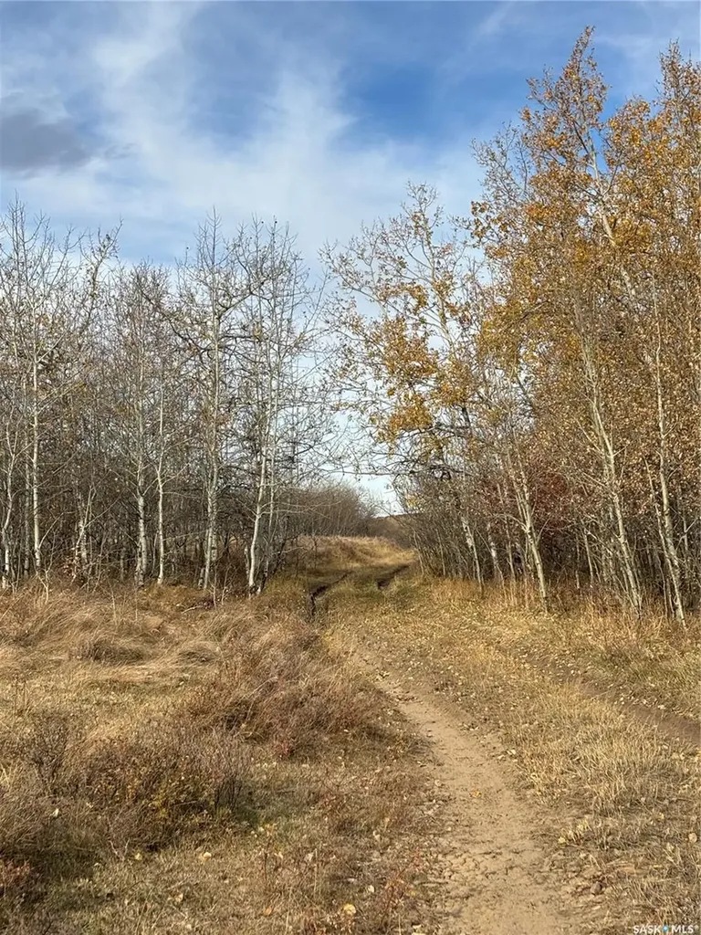 Rural Address Maple Creek Rm No. 111 SK S0N 0T0