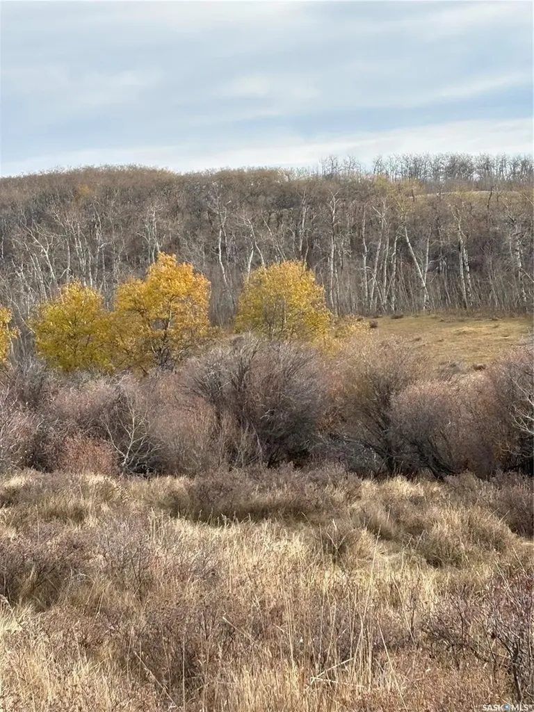 Rural Address Maple Creek Rm No. 111 SK S0N 0T0