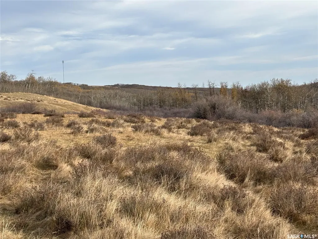 Rural Address Maple Creek Rm No. 111 SK S0N 0T0