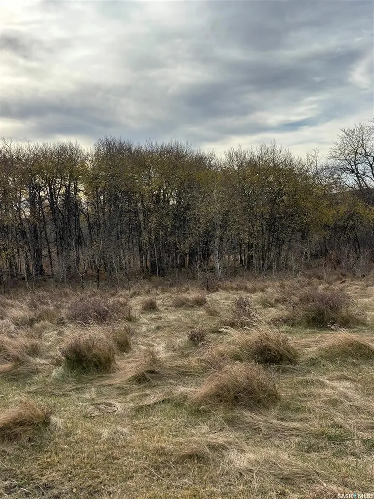 Rural Address Maple Creek Rm No. 111 SK S0N 0T0